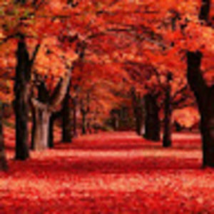 Meet your Posher, Destiny